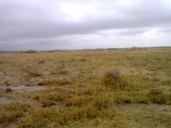 Joska, Kamulu: 50 x 100 plots Nairobi, Ruai