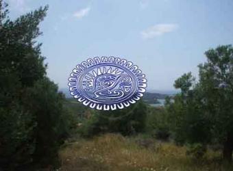 Plot for Sale at Halkidiki Sithonia
