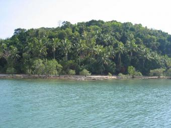 Plot of land Koh Paw - Koh Lanta Koh Paw   Koh Lanta
