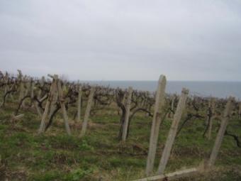 PLOT OF LAND WITH MARVELLOUS VIE Byala