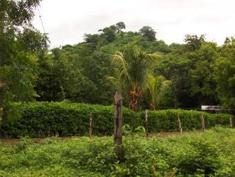 Property in Gigante Beach!!!! Tola