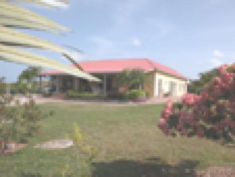 house with 5 acres landscaped plot Lowlands