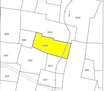Land For Sale in Ayios Trimithia Nicosia