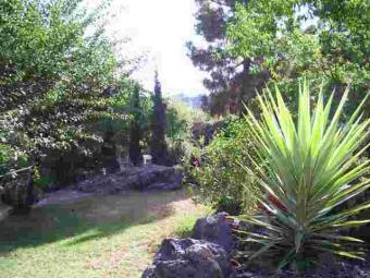Far from the Maddening Crowds! Icod De Los Vinos