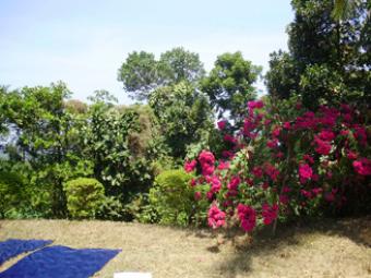 Restaurant/Reception hall/Land Giriulla