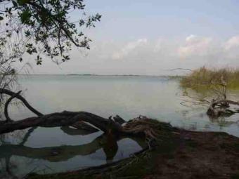Great area in Tulum Yucatan