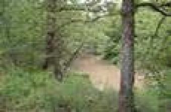 Larg Plots of Land For Sale 1500