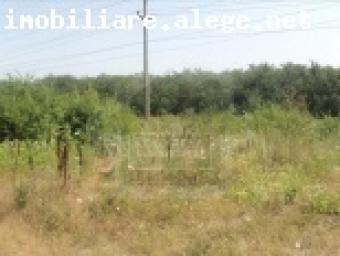 Selling cheap land Giurgiu