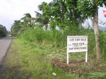 FARM LOT - along national highwa Iloilo