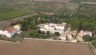 Antique manor (masseria) Bari (trani)