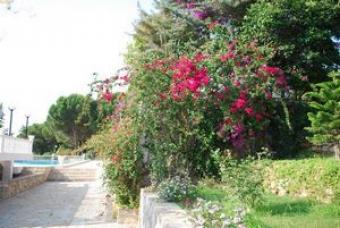 NATURAL vILLAGE OTEL RESTAURANT Mugla