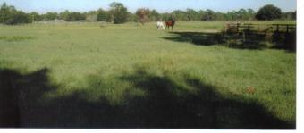 $5,000 for land in USA,Florida Orlando