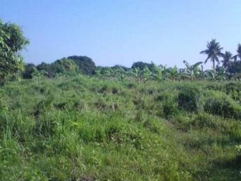COMMERCIAL LOT PAWING PALO LEYTE Palo