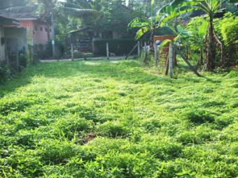 Gampaha city Limit - Bare Land f Gampaha
