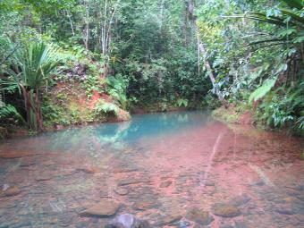 A PIECE OF PARADISE La Ceiba