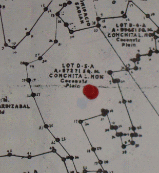 12.1 hecatare lot in Marinduque Tigui