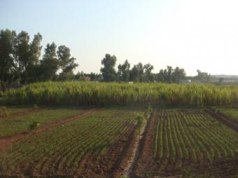 10 20 30 kanal agro far Isla
