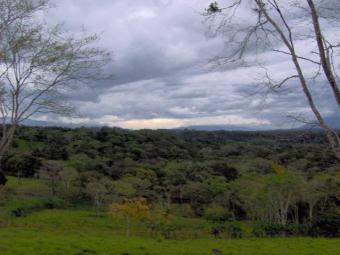 Farm For Sale Orotina