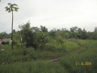 Industrial Lot near Jade Valley Davao