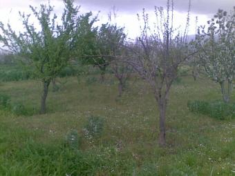 natural scenic land Izmir