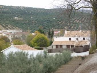 CORTIJO reformed with 5000 sqm2 Alhama De Granada
