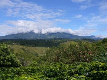 6-Has, Great Views, Chiriqui Centro Jaramillo