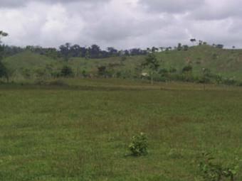 Farm in Darien La Palma