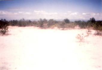 White Sand Beach Front Property Cebu City