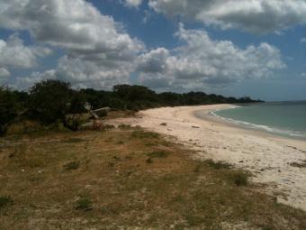 1 acre A first row beach plot Msambweni