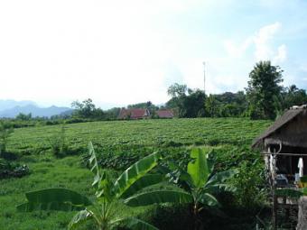 Empty land for rent Luang Prabang