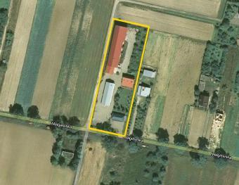 owner Lublin