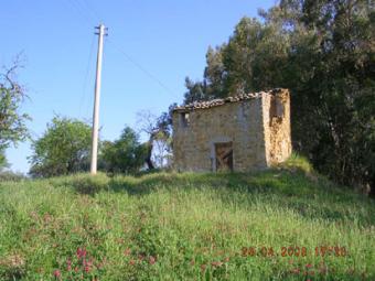 House and land in Sicily - D Asc Cianciana