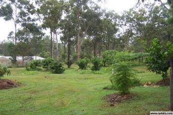 lake forest Brisbane