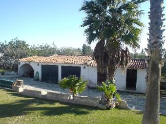 Farm - Faro Faro