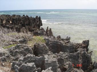 52 ACRES BEACH PLOT Bofa, Kilifi, Mombasa