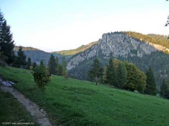 Land for sale in Lacu Rosu Bicajel