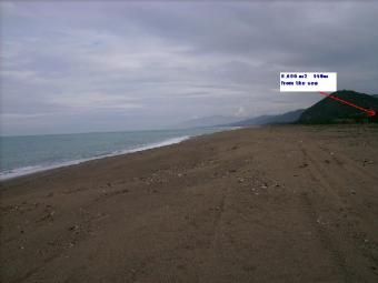 SEASIDE PLOT Kiparisia