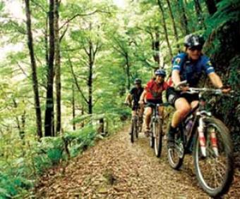 Land to build 11 ha in Dordogne Montignac