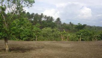 RUSH SALE - PRIME FARM LOT Lemery