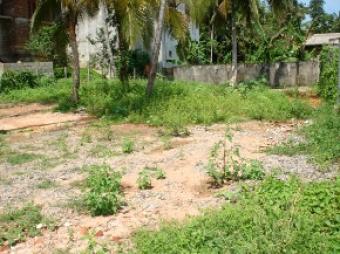 Beautiful Land for sale!!! Padukka