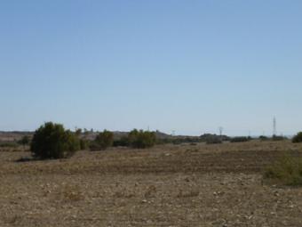 cultivated land in Famagusta Northern