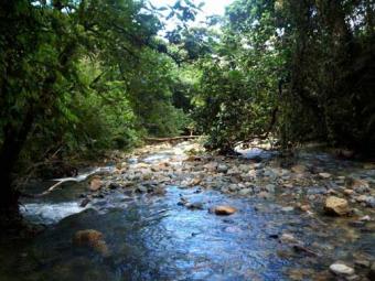 CARBON BOND INVESTMENT OR WATER Panama City