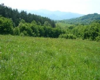 Land with Amenities On Request