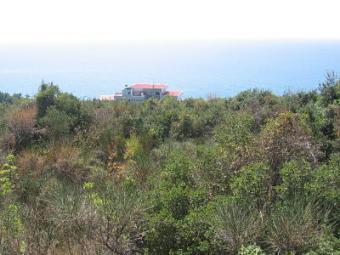 Land in Ulcinj MN, U R G E N T Ulcinj