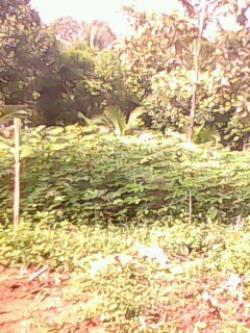 Land for sale Colombo  Hanwella