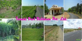 Agricultural Land for Sale Tirunelveli
