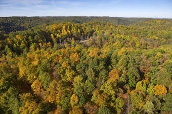 Mountain Land Sale! Sutton