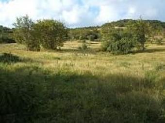 265 Acres Plot of Land for sale Nairobi