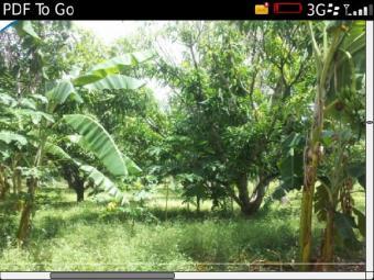 Mida Watamu beach 2nd row Creek Mombasa