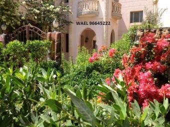 LOVELY FURNISHED 3BR APT Salmiya